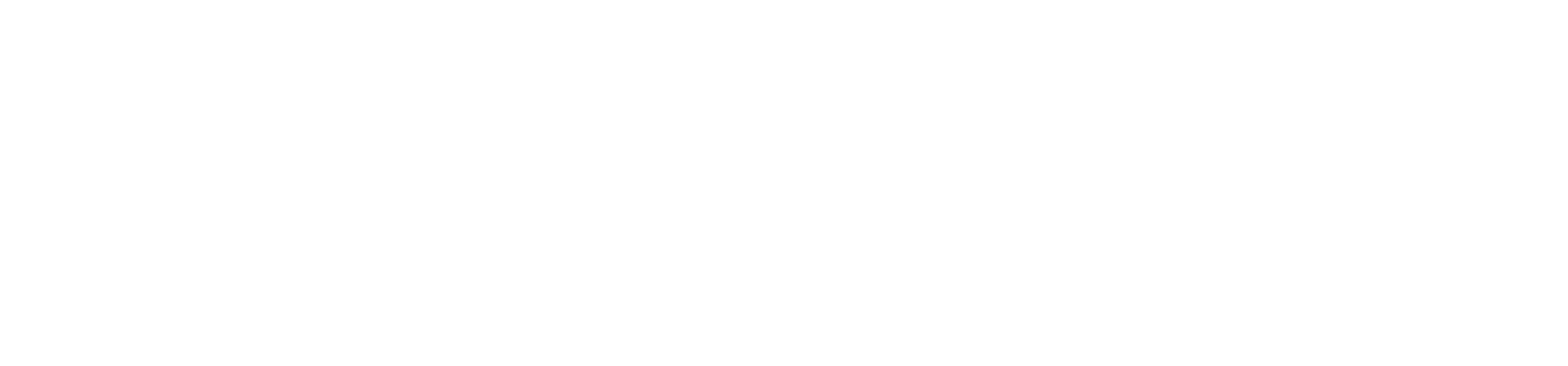 logo_horizontal_white